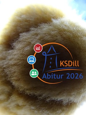 Abiturprüfungen starten